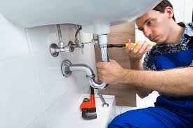 Best Toilet Repair and Installation  in Lake Geneva, WI